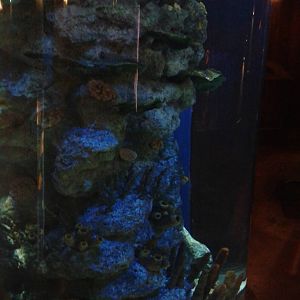 Aquarium