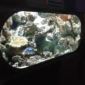 Aquarium