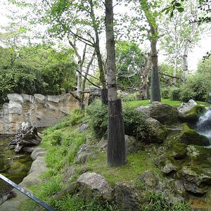 Outdoor area for orangs and otters