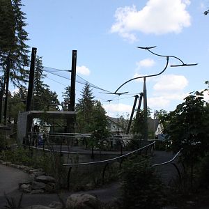 Condors of the Columbia