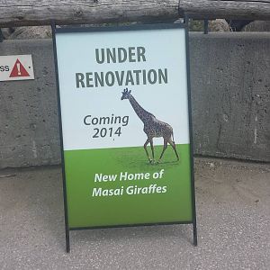 New Giraffe exhibit under renovation