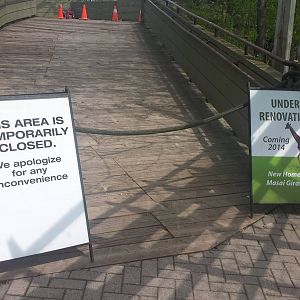 New Giraffe exhibit viewing/feeding area