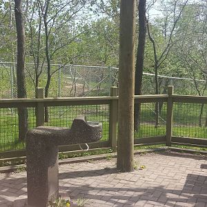 New Giraffe exhibit expansion