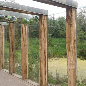 Enclosure European lynx