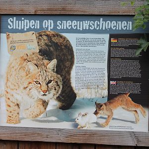 Information sign European lynx