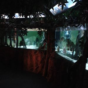 Aquarium in the Mangroves