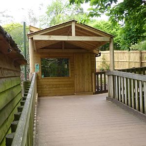 New Golden Lion Tamarin House, May 2014