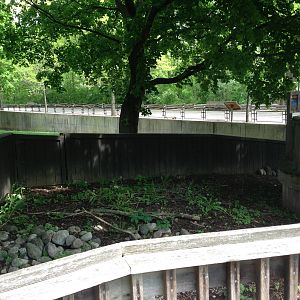 5/28/2014 - Former Koala Exhibit