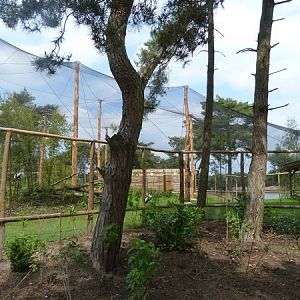 New Goliath heron aviary