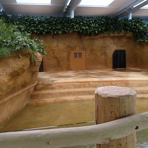 Hippo's indoor enclosure