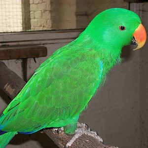 Eckie in his bedroom, 31st May 2014