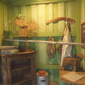 Green Tree Python Exhibit