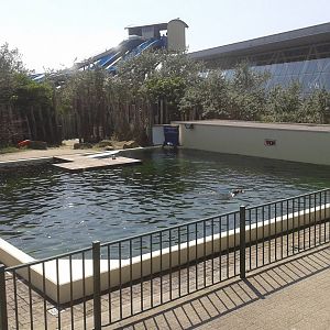 Harbour seal enclosure