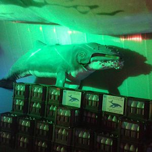 Baby whale model and milk