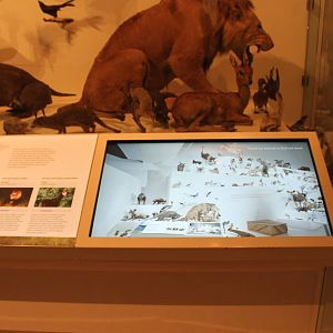 identification signage in the Evolution Gallery