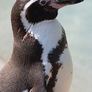 And closer, 1st June 2014