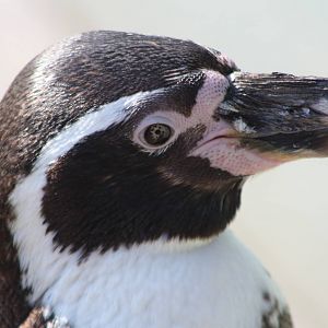 Closer still, 1st June 2014