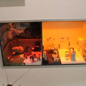 live snail and cockroach displays