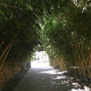 Walkway after entance to Tiger Trail