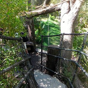 Path down to first viewing area of yard 1 of Tiger Trail