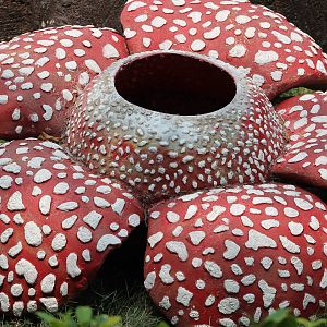 replica Rafflesia arnoldi