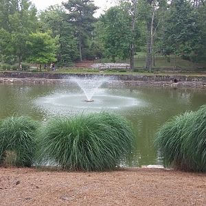 Fish Hatchery Ponds