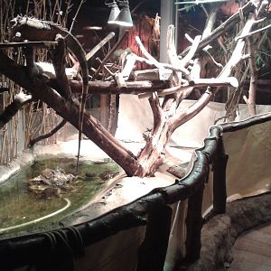 Reptile walk through