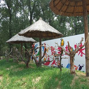 Parrot exhibit