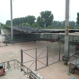 Animal Performance area