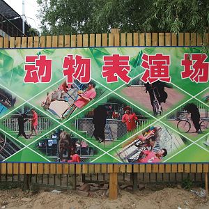 Poster of animal show