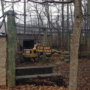 Renovation to Feline Exhibits (May 1, 2014)