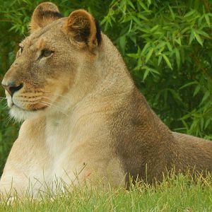 Jun. 2014 - Africa - The Gallery's First Photo of Imani