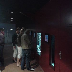 Inside de aquarium