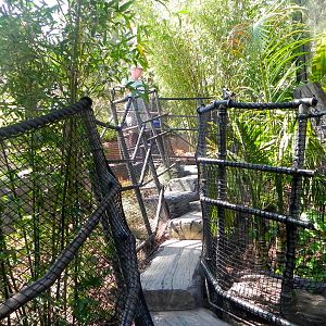 Path leading up from first viewing area yard 1 Tiger Trail