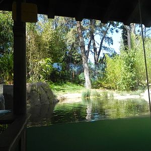 First viewing area of yard 2 Tiger Trail