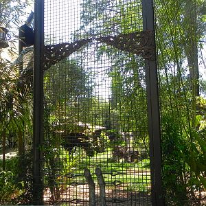 Intercation Wall yard 1 Tiger Trail