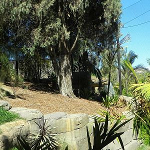 another view of yard 2 Tiger Trail