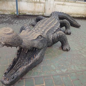 Crocodile Statue