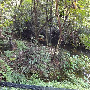 False Gharial Enclosure