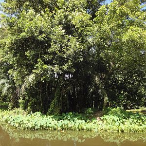 Second Gibbon Island