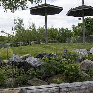 Future Giraffe Exhibit Main Yard