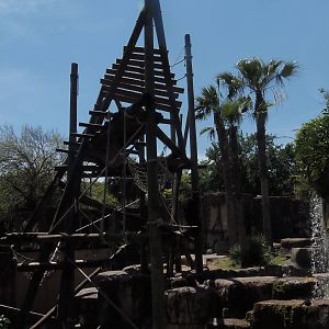 Bornean Orangutan Exhibit