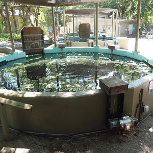 Manatee Medical Tanks