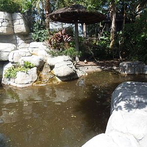Entrance Bird Exhibit