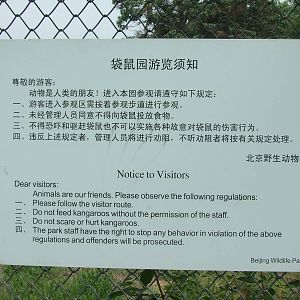 Notice to visitors of the kangaroo zone