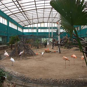 Tropical Birds House