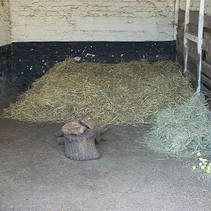 That is what I call a square bed, 6th June 2014