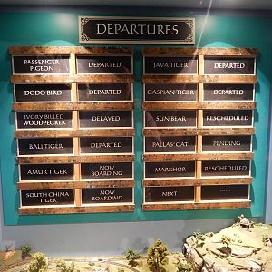 Asia Quest - Endangered Animal Train Departures