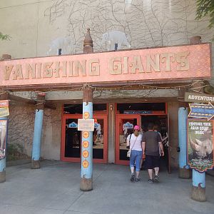 Asia Quest - Vanishing Giants - Pachyderm Indoor Viewing