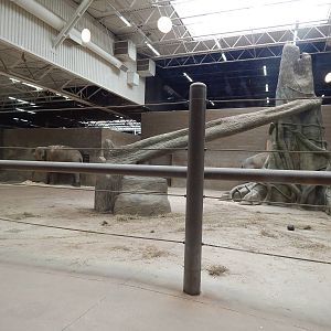 Asia Quest - Pachyderm Building - Elephant Indoor Exhibit